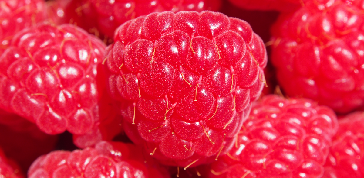 raspberry